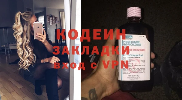винт Каменка