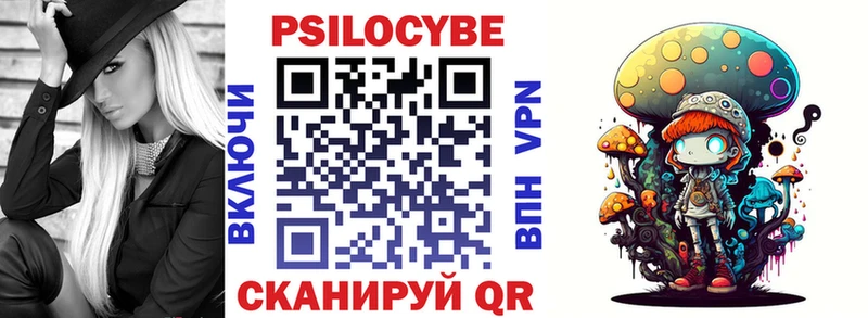 где можно купить наркотик  Чекалин  Псилоцибиновые грибы GOLDEN TEACHER 